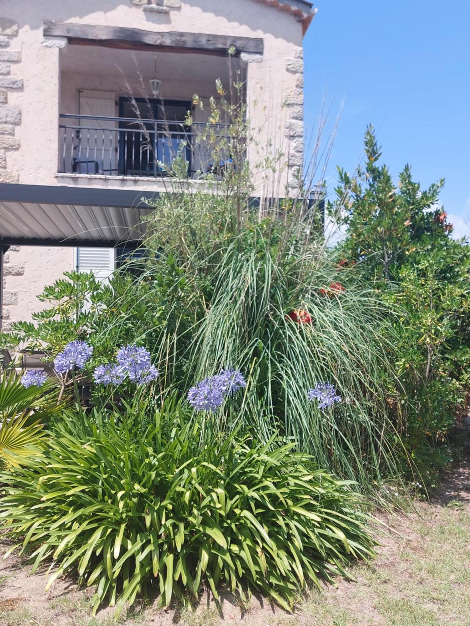 Appart 2 Pieces Independant Dans Villa Proche Centre Ville Au Calme Mandelieu Exterior foto